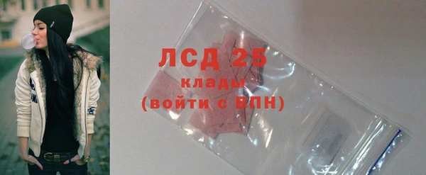 сатива Рославль