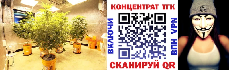 Дистиллят ТГК концентрат где продают Болхов