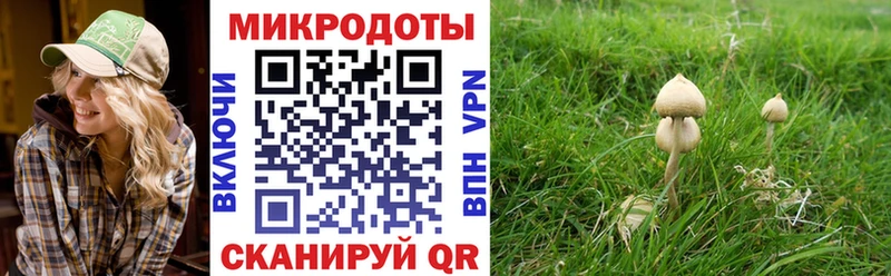 наркота  KRAKEN ссылки  Псилоцибиновые грибы Cubensis  Болхов 