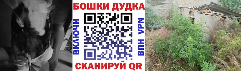 Бошки марихуана планчик  Болхов 